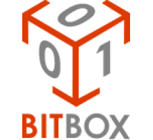 Переходник BMW 10pin-to-OBD2 (BitBox)